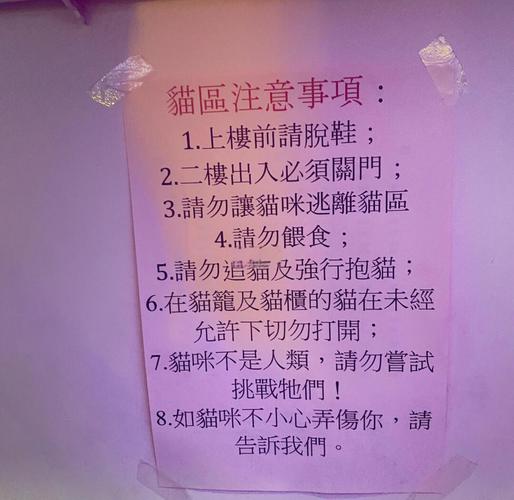 新澳门4949最新开奖记录和猫咪从16楼意外坠落与猫咪从16楼意外坠落会死吗
