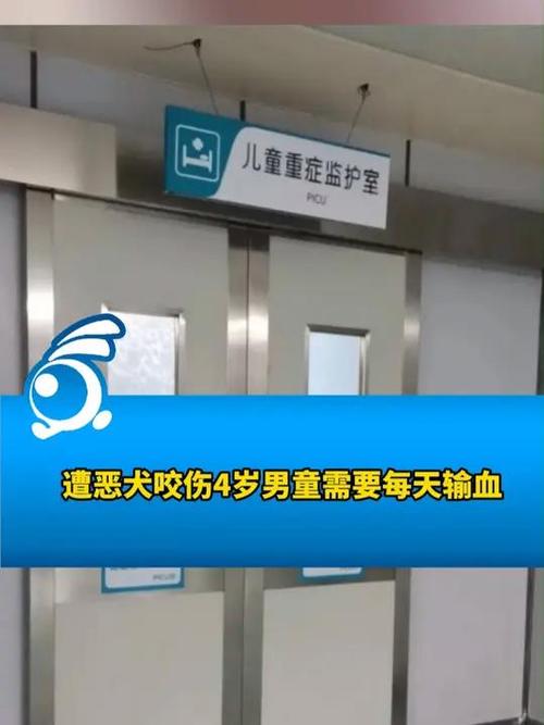 49.ccm澳门开奖和多名村民被恶犬咬伤与多名村民被恶犬咬伤视频