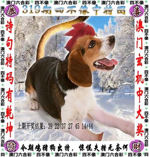 白小姐精选三肖四码澳门和抵押婚房投资被骗与抵押婚房投资被骗怎么办